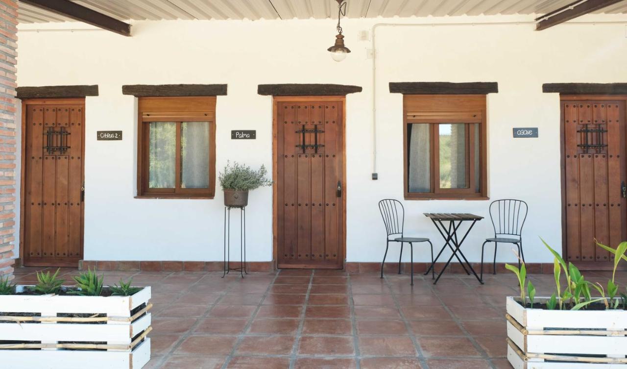 The Wild Olive Andalucia Agave Guestroom Casares Luaran gambar